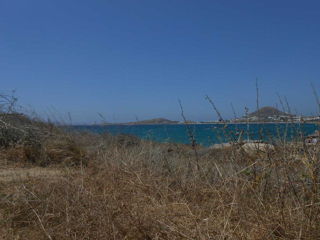 O Fotis Aparthotel Агиос Прокопиос Екстериор снимка